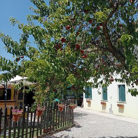 Appartement Malcontenta Mira