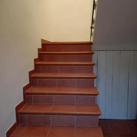 Malcontenta * 미라