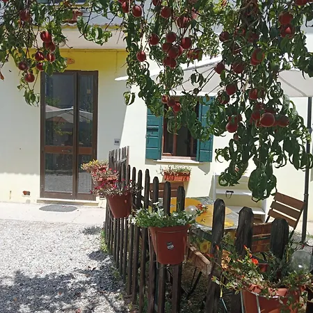 Malcontenta Apartment Mira